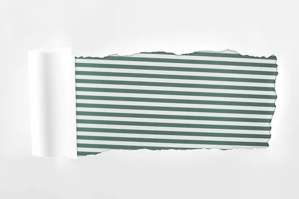 Ragged Textured White Paper Rolled Edge Green Striped Background — Stock Photo, Image