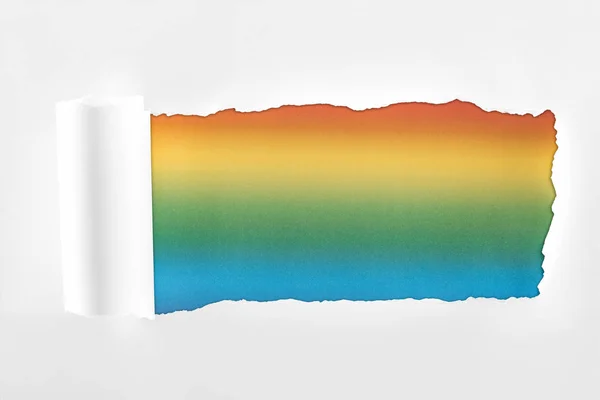 Rasgado Papel Branco Texturizado Com Borda Rolada Fundo Multicolorido — Fotografia de Stock