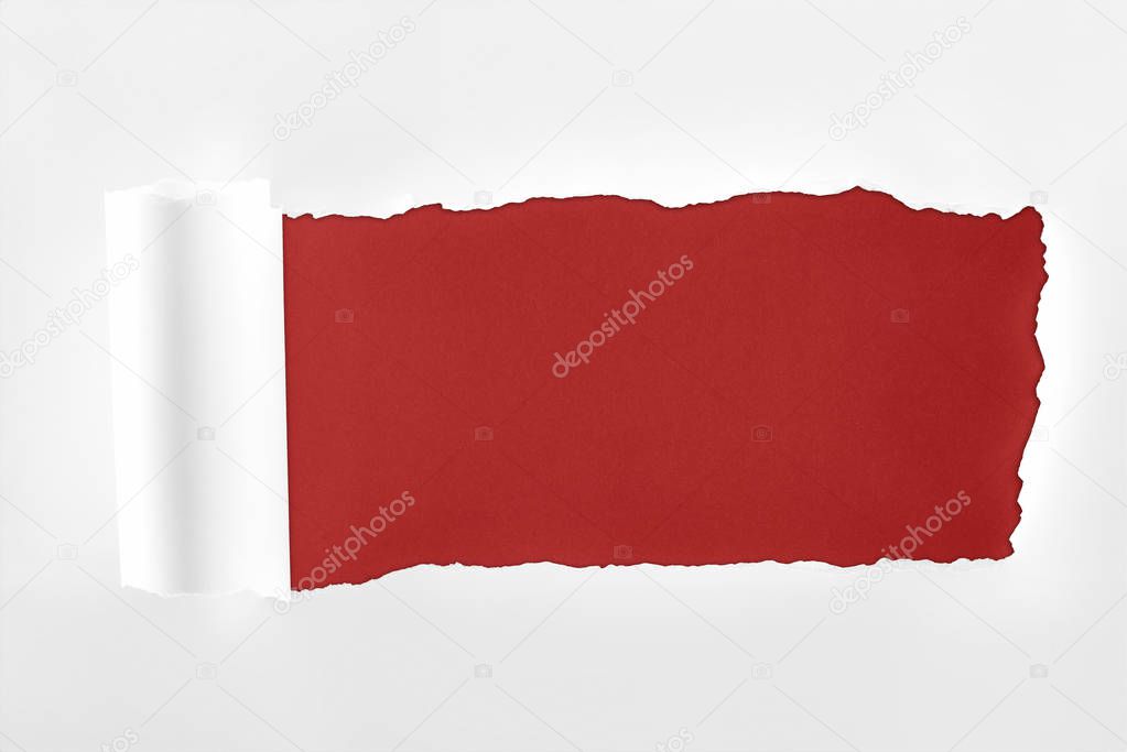ragged textured white paper with rolled edge on burgundy background 
