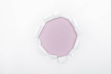 ragged hole in textured white paper on light purple background  clipart