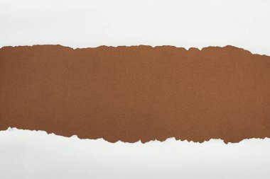 ragged white paper with curl edges on brown background  clipart