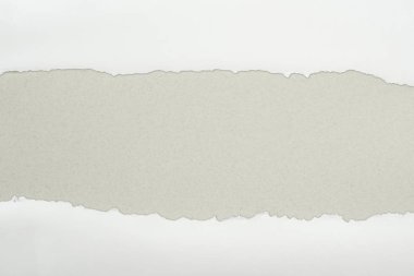 gri arka planda kopya alanı ile beyaz dokulu kağıt sökük 