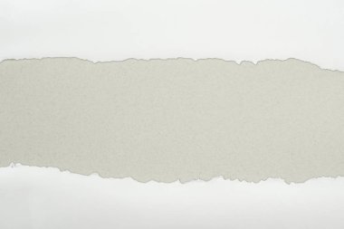 ripped white textured paper with copy space on grey background 