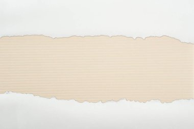 ripped white textured paper with copy space on ivory striped background  clipart
