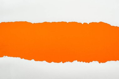 ripped white textured paper with copy space on orange background  clipart