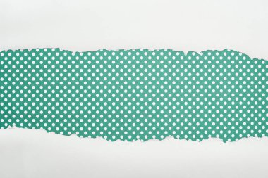 ripped white textured paper with copy space on green polka dot background  clipart