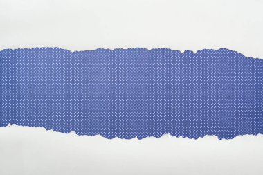 mor noktalı arka planda kopya alanı ile beyaz dokulu kağıt sökük 