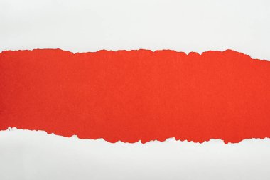 ripped white textured paper with copy space on red background 