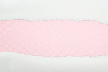 ragged white textured paper with copy space on pink background  clipart