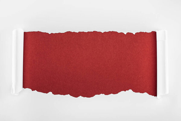 ragged textured white paper with curl edges on burgundy background 