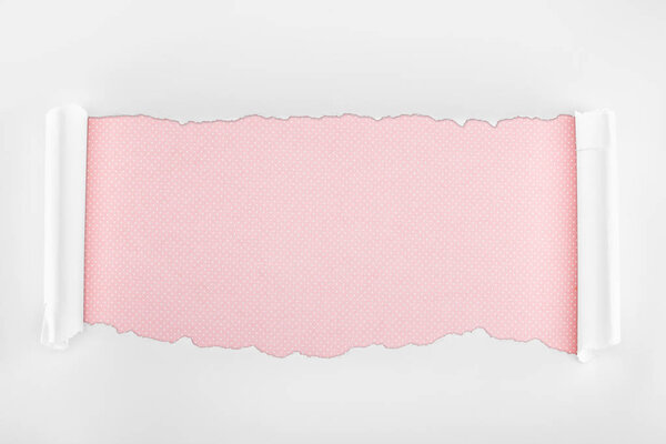 ragged textured white paper with curl edges on pink background 