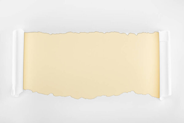 ripped textured white paper with curl edges on beige background 