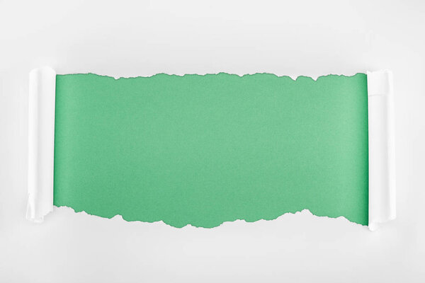 ripped textured white paper with curl edges on light green background 