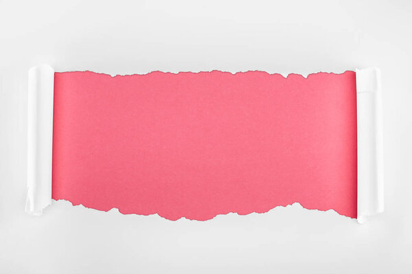 ripped white textured paper with curl edges on pink background 