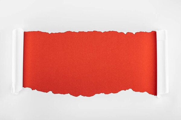 ripped white textured paper with curl edges on red background 