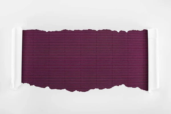 紫色の縞模様の背景にカールエッジを持つリッピング白いテクスチャの紙 — ストック写真