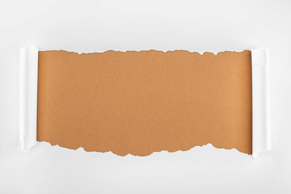 ripped white paper with curl edges on brown background 