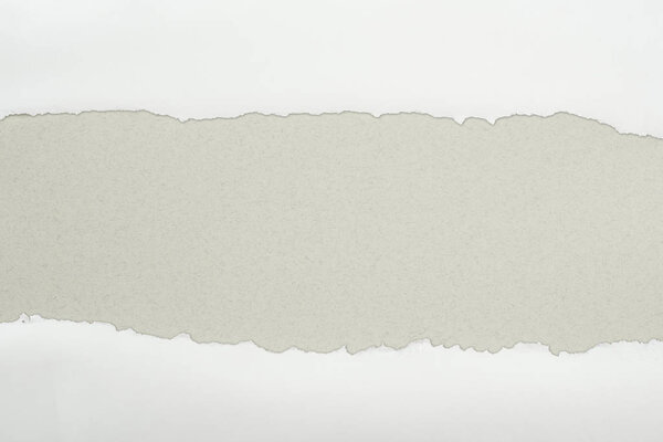 ripped white textured paper with copy space on grey background 