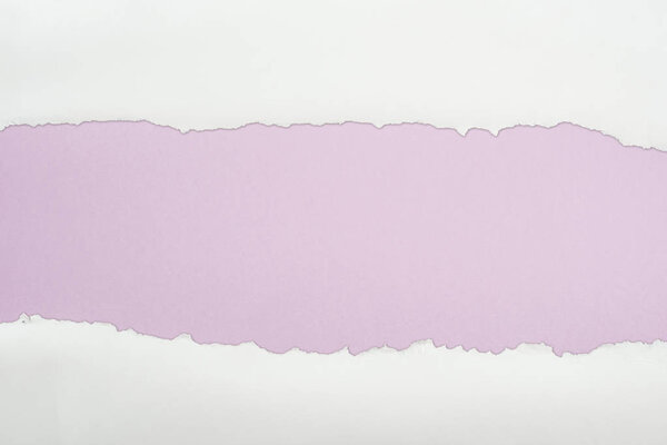 ripped white textured paper with copy space on light purple background 