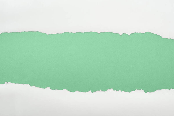рваная белая текстурированная бумага с копировальным пространством на зеленом фоне
 