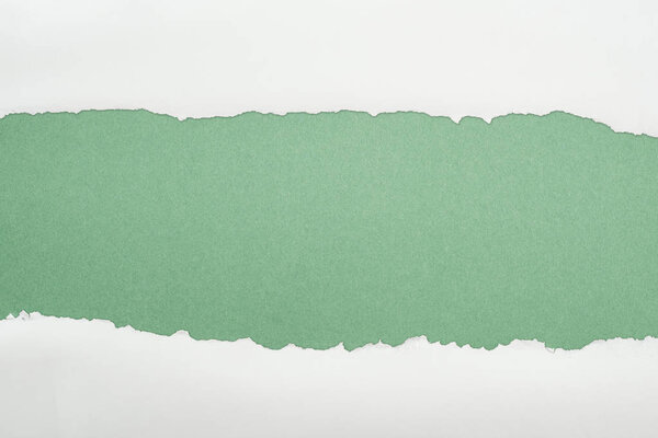 ragged white textured paper with copy space on green background 