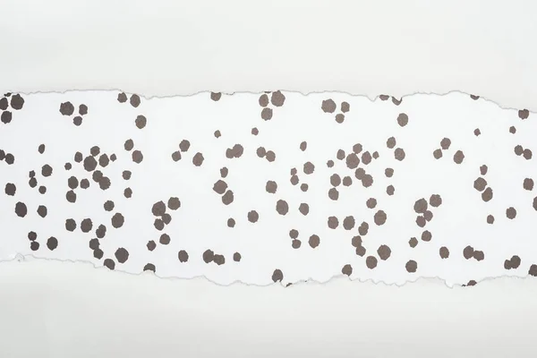 Papel Texturizado Branco Esfarrapado Com Espaço Cópia Fundo Pontilhado Preto — Fotografia de Stock