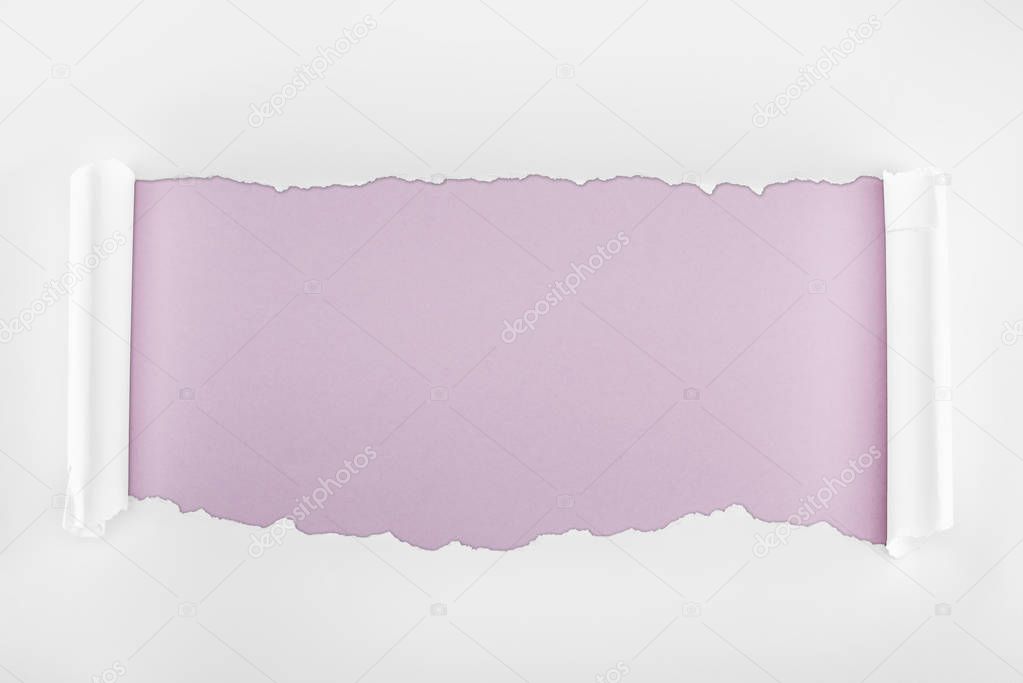 ragged textured white paper with curl edges on light purple background 