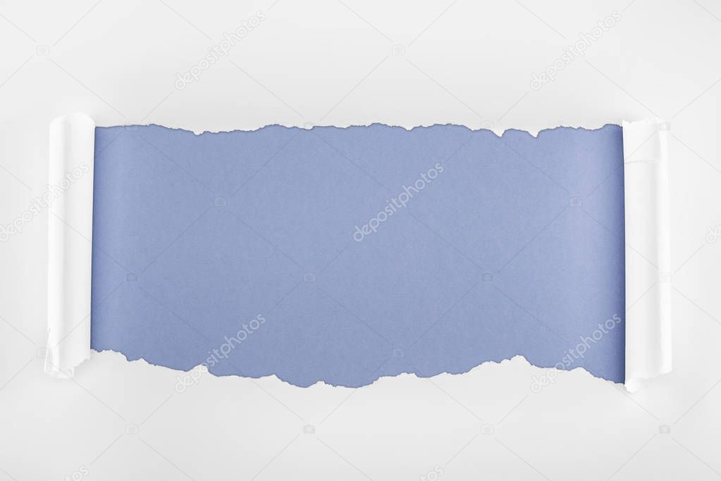 ripped white paper with rolled edges on blue background 