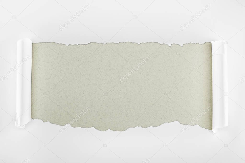 ripped white textured paper with curl edges on grey background 