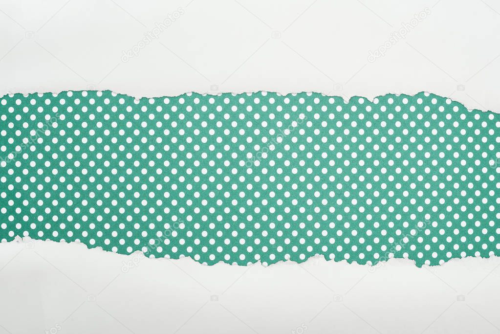 ripped white textured paper with copy space on green polka dot background 