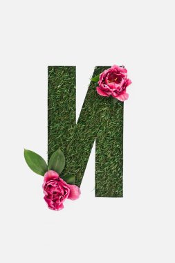 Kiril harf yeşil çimen yaprakları ve beyaz izole pembe peonies ile yapılan kesmek