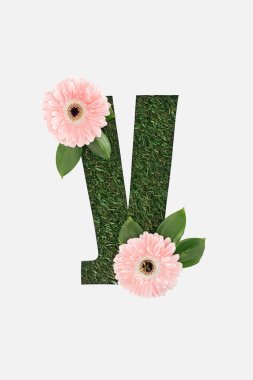 Kiril harf yeşil otların üzerinde beyaz izole pembe gerbera ile yapılan Üstten Görünüm