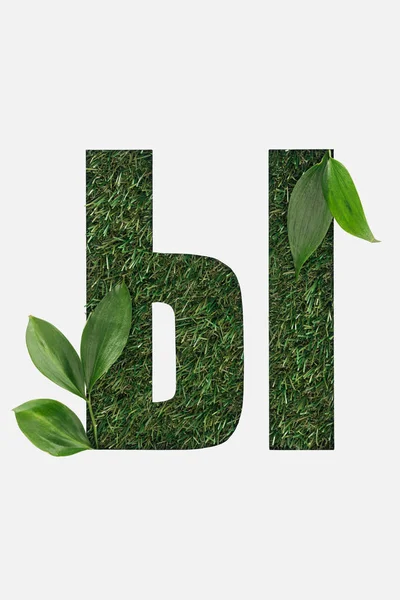 Cut Out Cyrillic Letter Made Grass Green Leaves Isolated White — Stock Photo, Image