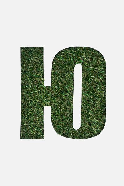 cut out letter from cyrillic alphabet made of natural green grass isolated on white