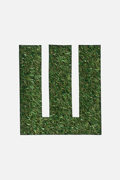 верхний вид буквы из кириллицы алфавит из зеленой травы изолированы на белом
