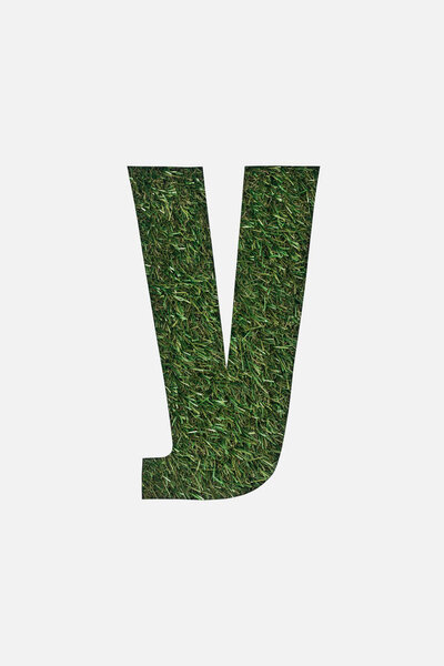 top view of cyrillic letter made of green grass isolated on white