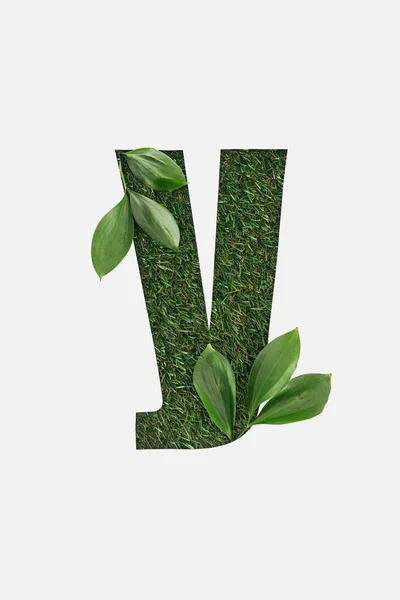 Top View Cyrillic Letter Made Green Grass Fresh Leaves Isolated — Stock Photo, Image
