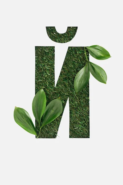 Top View Cyrillic Letter Made Green Grass Leaves Corners Isolated — Stock Photo, Image