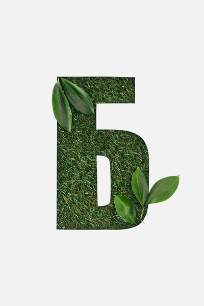 top view of cyrillic letter with grass on background and leaves in corners isolated on white