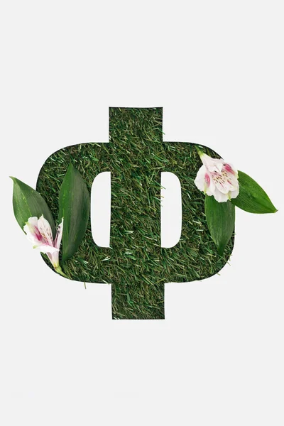 Felülnézet Cirill Betű Természetes Háttér Alstroemeria Virágok Zöld Levelek Elszigetelt — Stock Fotó