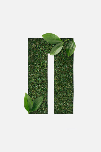 top view of cyrillic letter with green grass on background and natural leaves in corners isolated on white