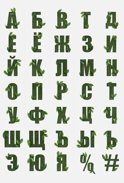 Кириллические Буквы Русского Алфавита Зеленой Травы Свежими Листьями Выделенными Белом — стоковое фото