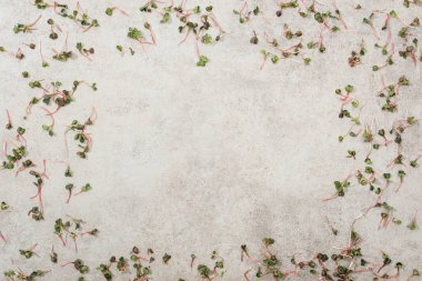 Yeşil bahçe cress üstten görünüm dokulu yüzeyi