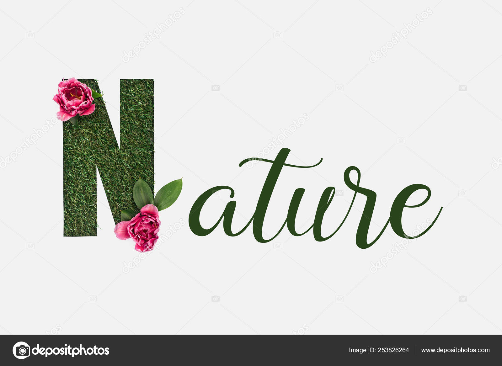 Top View Green Nature Lettering Leaves Pink Peonies Isolated White ...