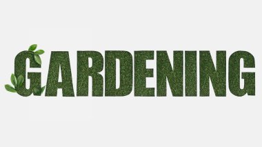Yeşil çimenlerin üzerinde beyaz izole üzerinde Bahçe yazı dışarı kesim Üstten Görünüm