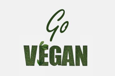 beyaz izole yaprakları ile yazı yeşil git vegan Üstten Görünüm