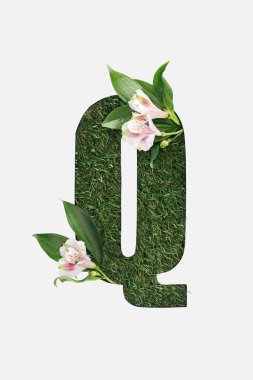 top view of cut out Q letter on green grass background with leaves and alstromeria flowers isolated on white