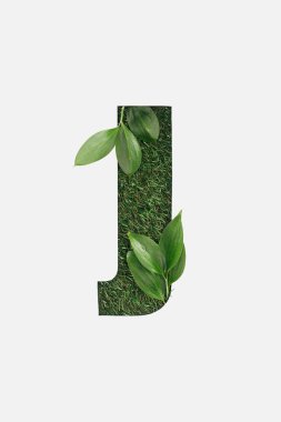 top view of cut out J letter on green grass background and leaves isolated on white