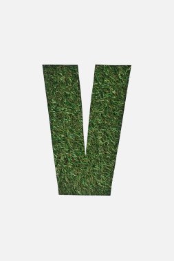 top view of cut out V letter on green grass background isolated on white