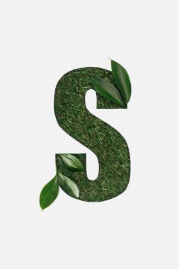 top view of cut out S letter on green grass background with leaves isolated on white clipart